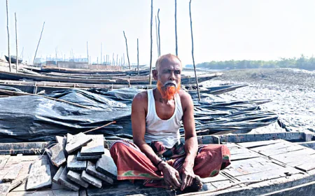 হঠাৎ সামনে এসে পড়ে বাঘ, কুড়ালই ছিল কওসারের শেষ ভরসা