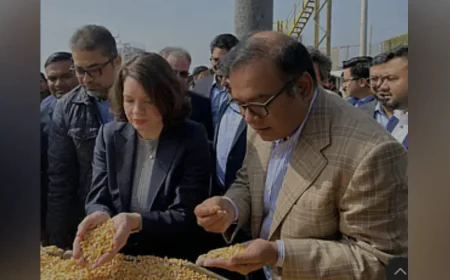 যুক্তরাষ্ট্র থেকে ভুট্টার বড় চালান বাংলাদেশে