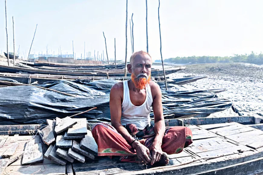 হঠাৎ সামনে এসে পড়ে বাঘ, কুড়ালই ছিল কওসারের শেষ ভরসা