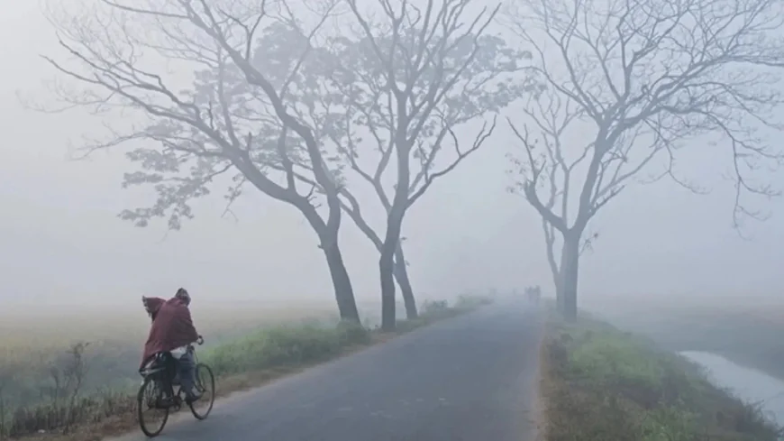 শৈত্যপ্রবাহ নিয়ে যে তথ্য দিল আবহাওয়া অফিস