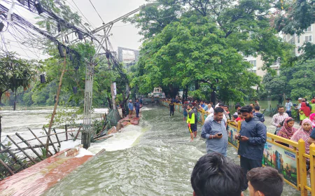 অতিবৃষ্টিতে শাহজাদপুর-গুলশান সংযোগ সড়কে ভাঙন, যোগাযোগ ব্যাহত